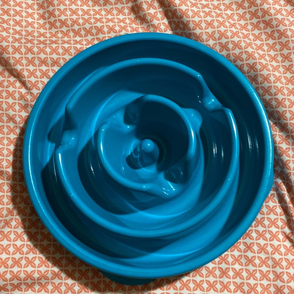 Slow feed dog bowl